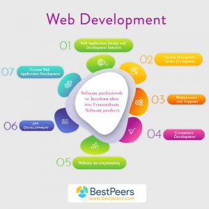 Bestpeers Infosystem- Offshore Software Development Company 